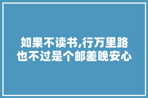 大学生暑期社会的实践总结报告书