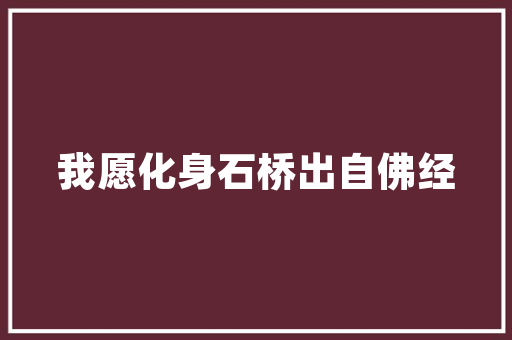 最全的《凉凉》语录摘抄