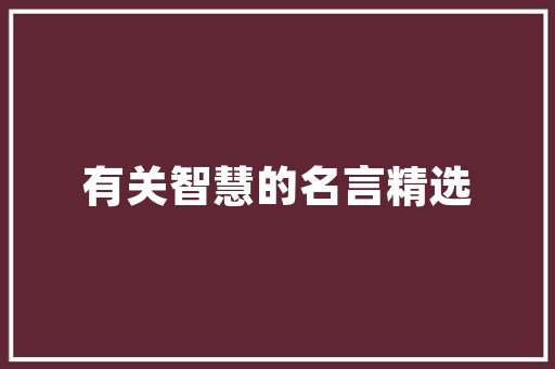 瞬间的停留小学生作文