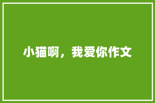 我一定行四年级作文